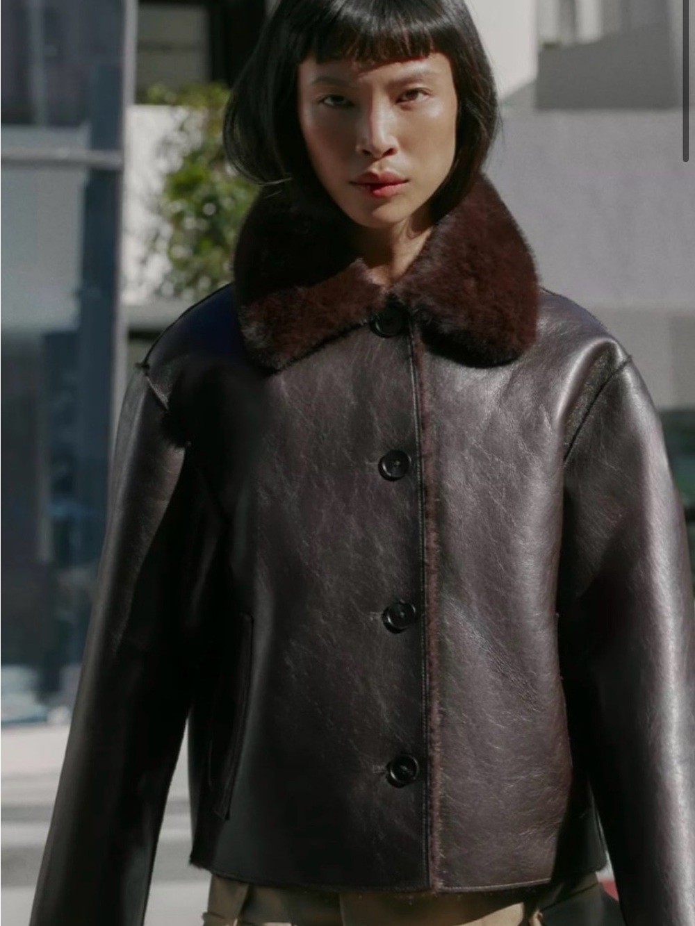 Zara Reversible Double-Faced Faux Leather Jacket | Dark Brown Fur & Leather